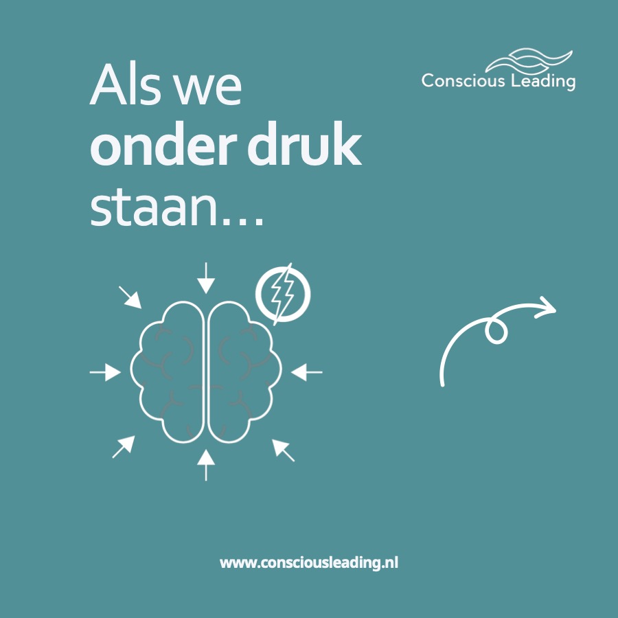 Gratis download over zelfbewust leiderschap - Consicous Leading